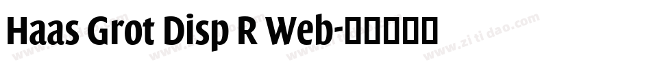 Haas Grot Disp R Web字体转换
